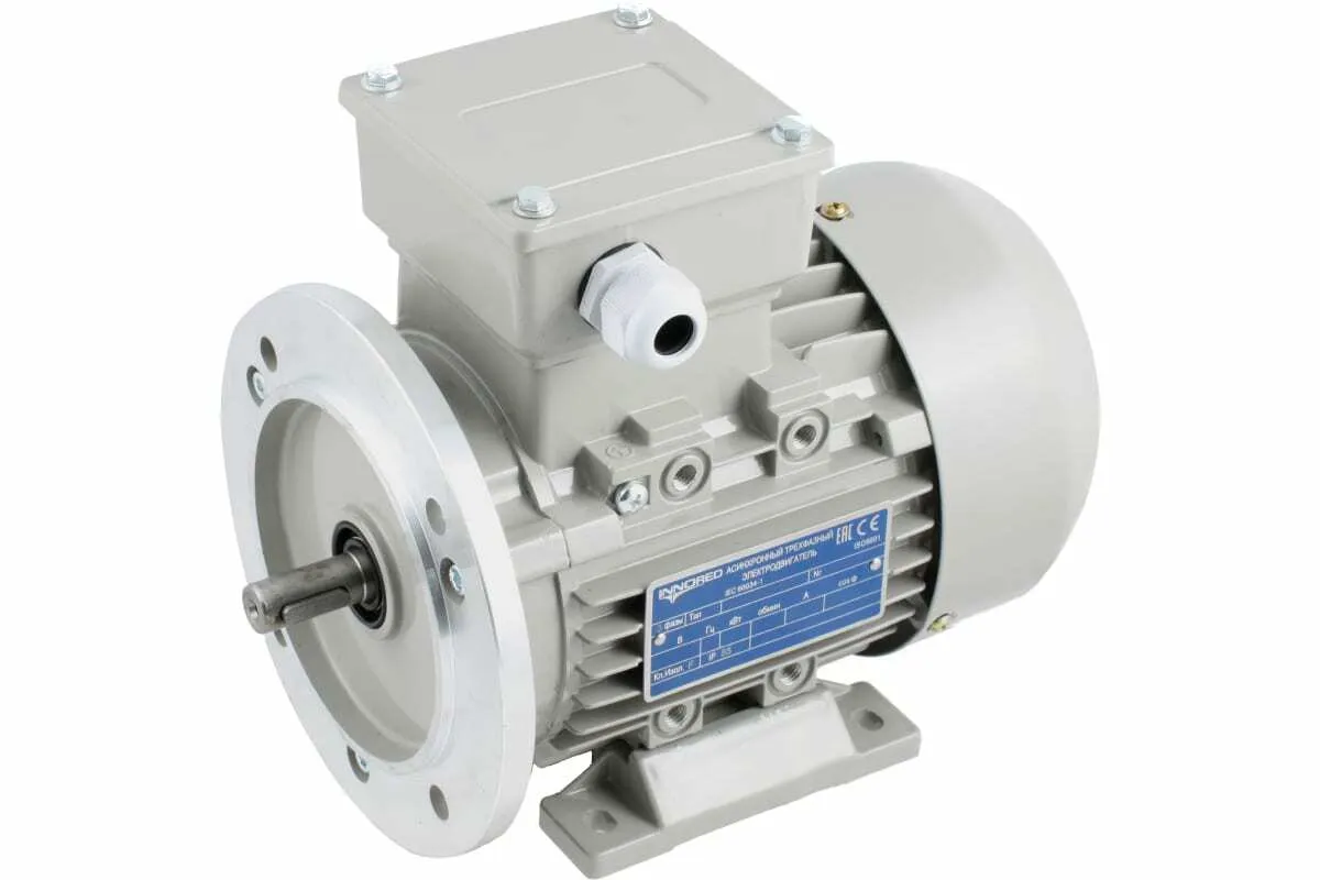 INNORED Электродвигатель трёхфазный асинхронный (0.75 кВт 900 об/мин) 200"24мм, на лапах, схема включения "звезда"/"треугольник" (380В/220В), IP55 RM90S-6 B35